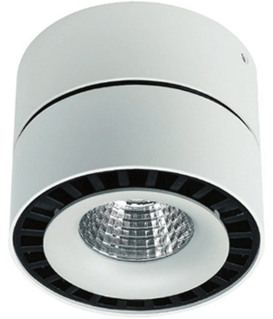 Ceiling Mounted Downlight or Spotlight