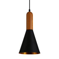 Alpha Cone