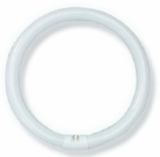 Circular Fluorescent Tubes