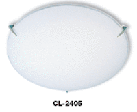 Ceiling Claw lights