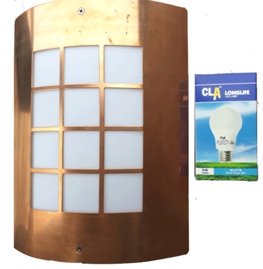 Copper Watt Light with 8W LED Bulb