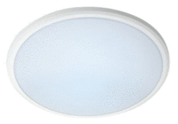 14 Watt LED Dimmable Ceiling Light