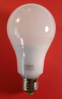 Standard Shaped LED bulb 12 Watts