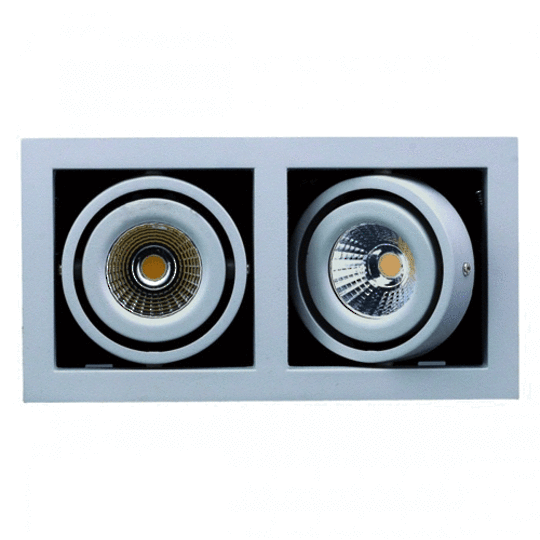 LDL-GIM2 Silver Double Frame