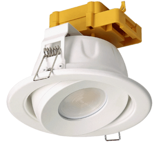 LDL-SWG Tiltable 11 Watt Downlight