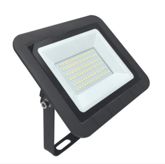 Eurotech 50W LED Flood