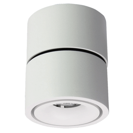 Prolux Surface Mounted Spot light