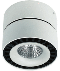 Ceiling Mounted Downlight or Spotlight