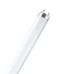 Osram T8 Tube for Meat Displays