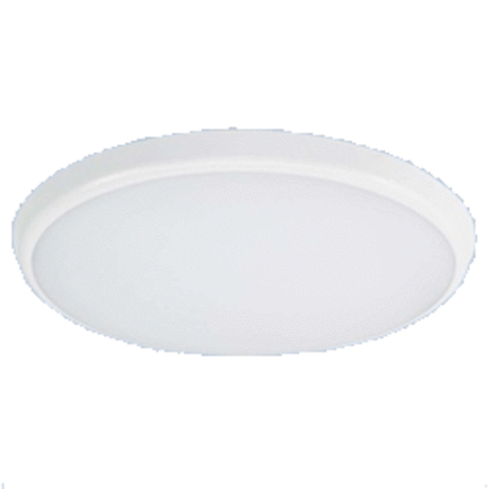 25 Watt Polycarbonate Double Insulated.