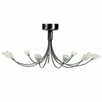Xandra Pendant and Wall Light
